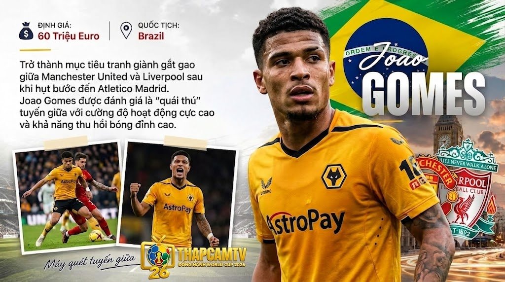 Tiền vệ Joao Gomes trở thành mục tiêu tranh giành gắt gao giữa Manchester United và Liverpool trong kỳ chuyển nhượng mùa hè.